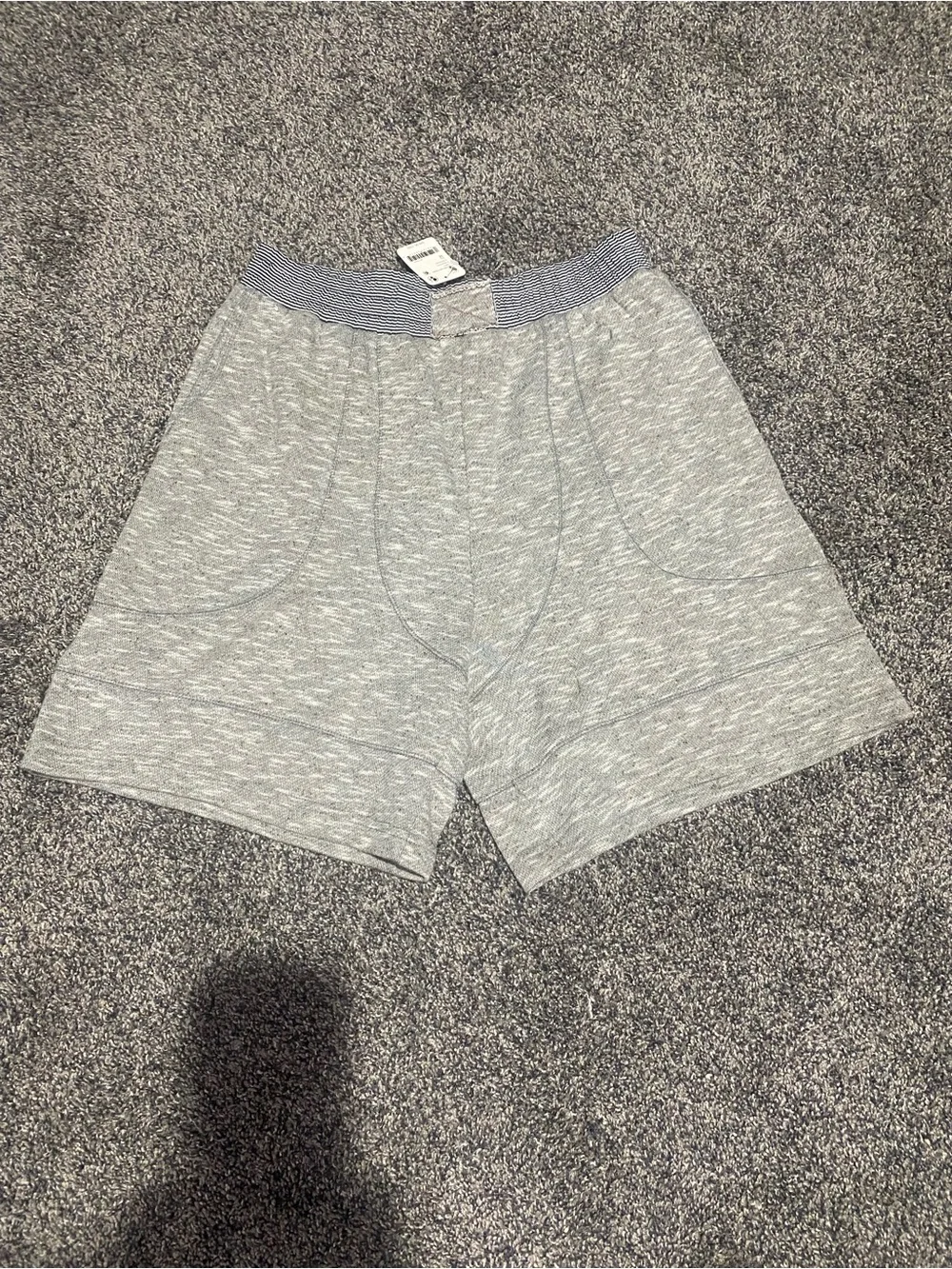 Free People Everything I Want Shorts
